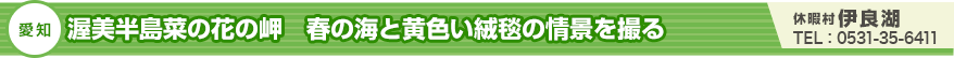 渥美半島菜の花の岬 春の海と黄色い絨毯の情景を撮る