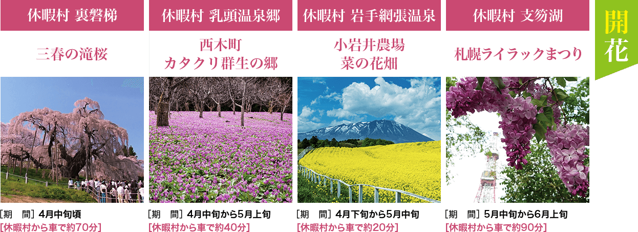 開花