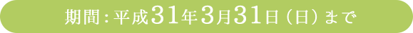 期間：平成31年3月31日（日）まで