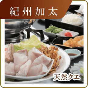 紀州加太　天然クエ