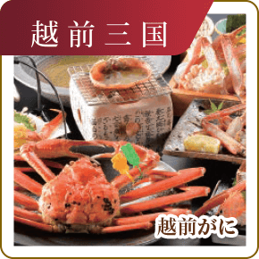 越前三国　越前がに