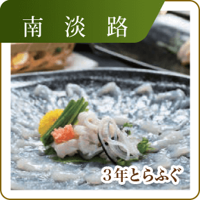 南淡路　3年とらふぐ