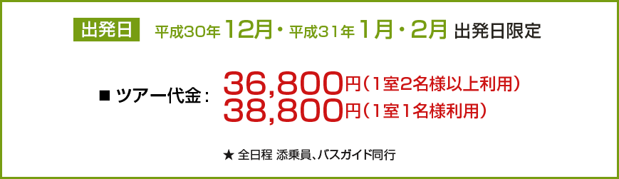 出発日 平成30年12月・平成31年1月・2月出発日限定