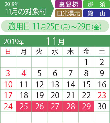 11月