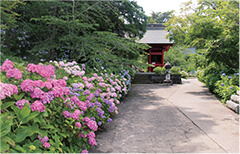村お勧めのアウトドア情報