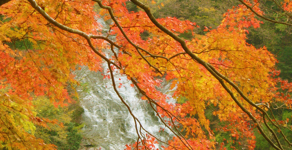 養老渓谷(市原市)