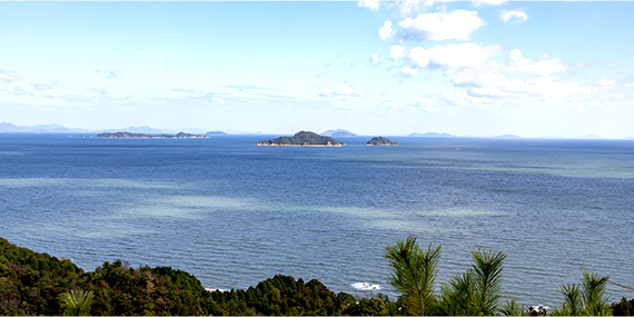 瀬戸内東予（愛媛県）画像