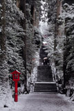 雪の二人／武智　四郎