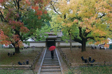 彩り／柴奥 啓市