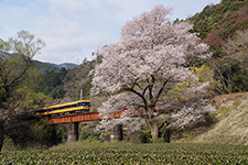 春の山里／越智　秀夫