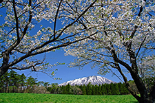春・光る岩手山／鹿野　謙二