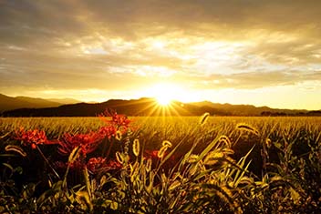 秋の夕暮れ／深瀬 伸介