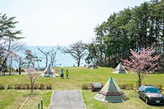 キャンプ場フリーサイト（テント持込）