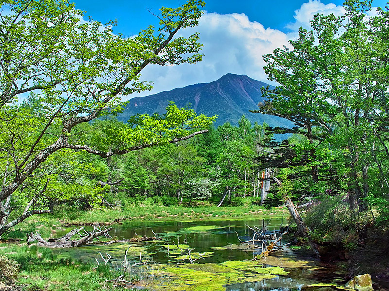 男体山と湯川:6月上旬