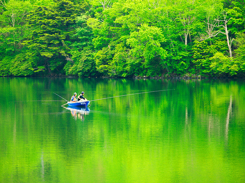 湯ノ湖:6月上旬