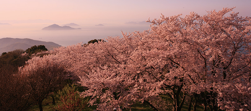 紫雲出山