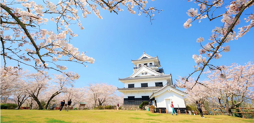 館山城・城山公園の桜