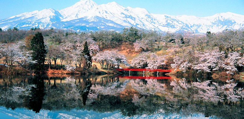 松ヶ峯周辺の桜