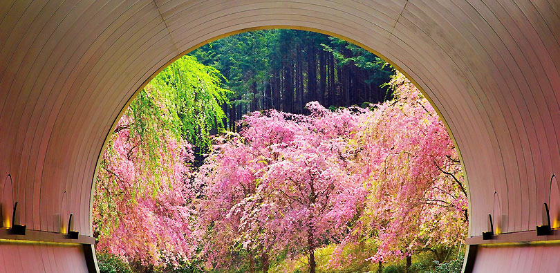 MIHO MUSEUM