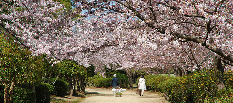 河西緩衝緑地公園