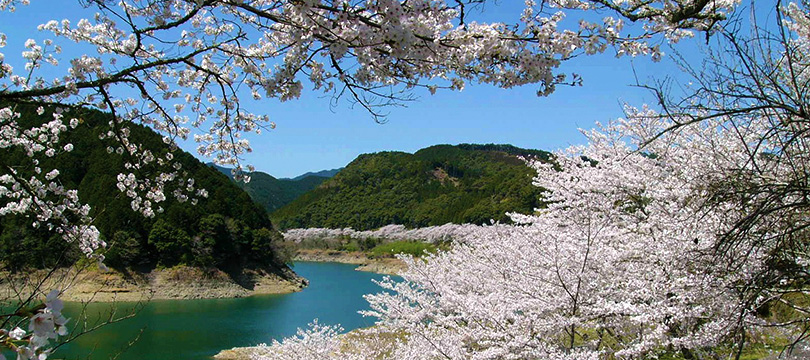 七川ダム湖畔