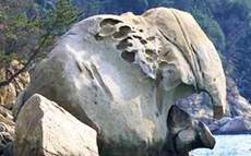 2.瀬戸大橋クルーズ体験