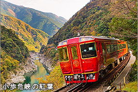 小歩危峡の紅葉