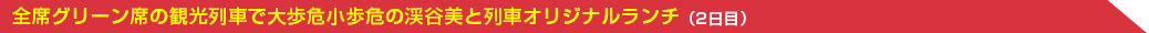 全席グリーン席の観光列車で大歩危小歩危の渓谷美と列車オリジナルランチ（2日目）