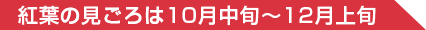 紅葉の見ごろは10月中旬～12月上旬