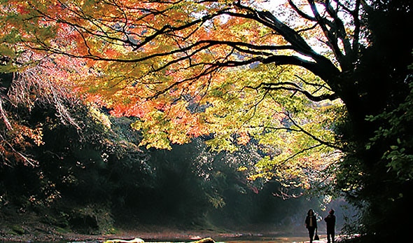 画像:里山トロッコに乗ってチバニアンへ！紅葉の養老渓谷と亀山湖探訪