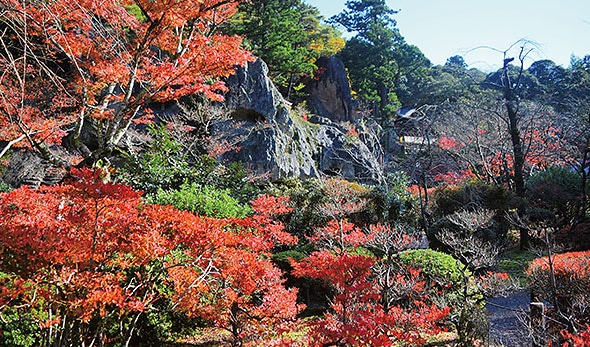 画像:紅葉那谷寺と自動車博物館へ行く！昭和レトロツアー