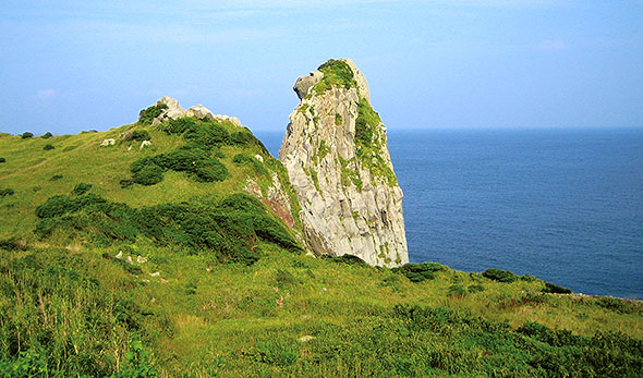 画像:高速船ジェットホイルの旅 長崎壱岐島めぐり