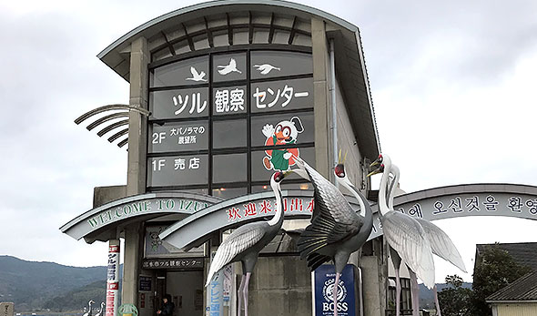 画像:出水のツルと麓武家屋敷群散策ツアー