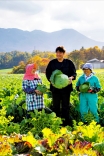嬬恋村農産物直売所マップ