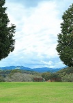 客室案内