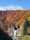 おすすめ！紅葉スポット