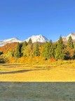 最新版リーフレット