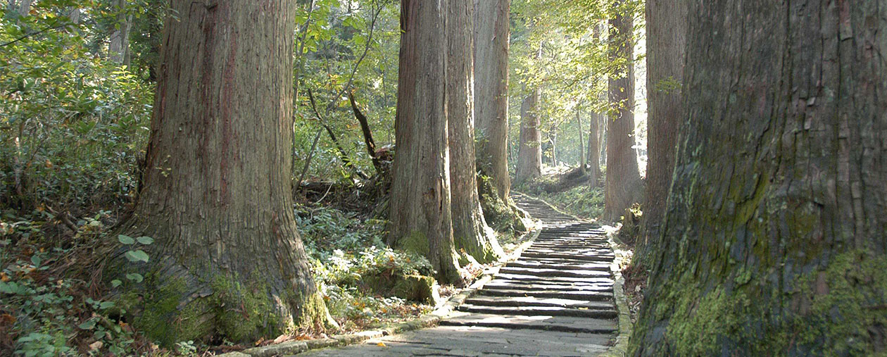 国宝羽黒山五重塔特別拝観