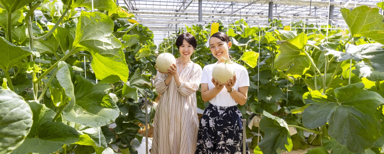 毎日10組限定！　メロン収穫体験付きプラン