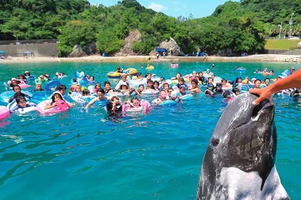 くじら浜海水浴場