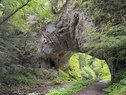 観光スポット【雄橋】見学制限に関するお知らせ