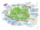 ８月🥥大人気の沖ノ島🐠
