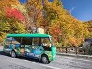 秋の温泉と湯めぐり号でGOGO！