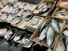 久しぶりに三河一色さかな村の朝市と一色さかな広場！