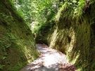 No.1おすすめスポット「苔の回廊」