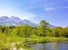 妙高の観光地を巡る🚌<br>【妙高山麓線】モデルコース