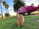 5月＆6月お得情報♪