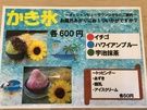 かき氷始めました🍧