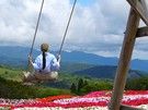 夏の茶臼山高原楽しみ方ガイド