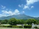 雪化粧ならぬ花化粧